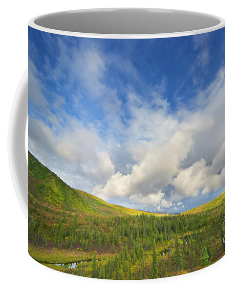 00431045 Coffee Mug featuring the photograph Black Spruce on Fall Tundra by Yva Momatiuk John Eastcott