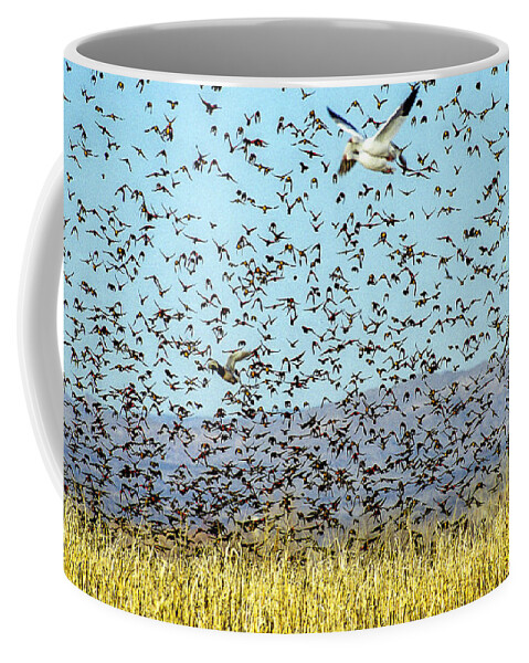 Birds Coffee Mug featuring the photograph Blackbirds and Geese by Steven Ralser