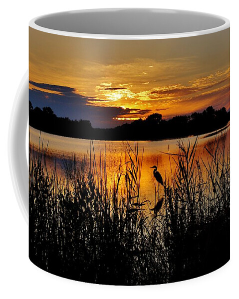 Sun Coffee Mug featuring the photograph Blackwater Morning by Bob Geary