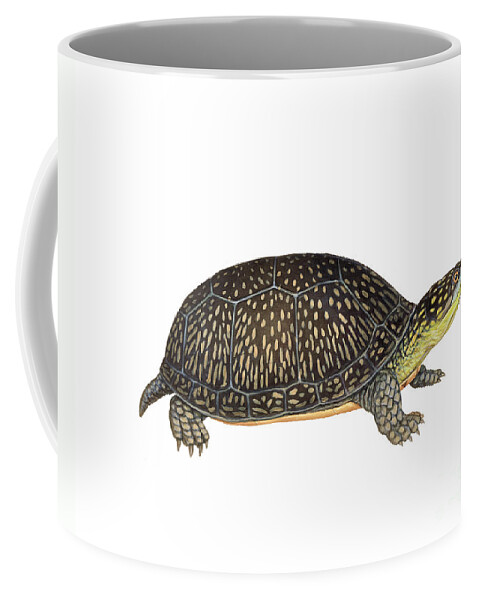 Art Coffee Mug featuring the photograph Blandings Turtle by Carlyn Iverson