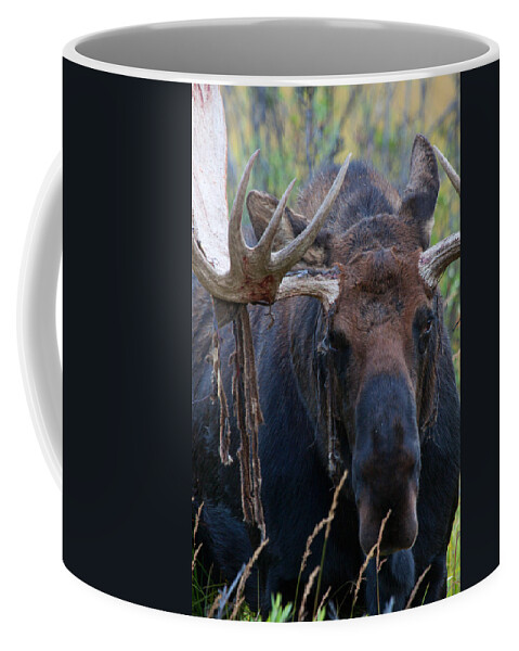 Moose Photograph Coffee Mug featuring the photograph Blood in His Eye by Jim Garrison