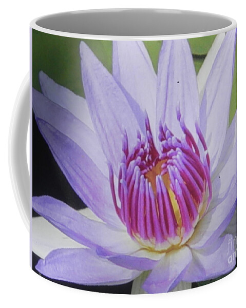 Photograph Coffee Mug featuring the photograph Blooming For You by Chrisann Ellis