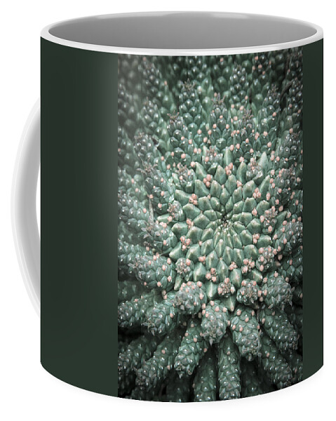 Succulent Coffee Mug featuring the photograph Blooming Geometry by Caitlyn Grasso