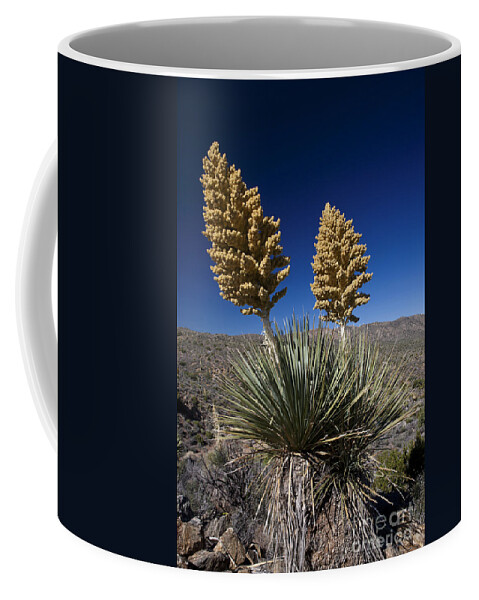 Large Cactus Plant Coffee Mug by Jason O Watson - Pixels