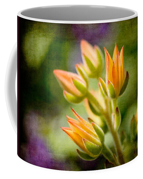 Nature Coffee Mug featuring the photograph Blooming Succulents II by Marco Oliveira
