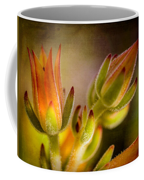Nature Coffee Mug featuring the photograph Blooming Succulents IV by Marco Oliveira