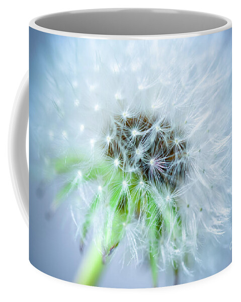 Blossom Coffee Mug featuring the photograph Blowball - blue by Hannes Cmarits