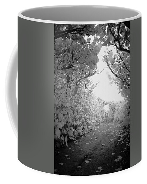 Blowing Coffee Mug featuring the photograph Blowing Rocks Jupiter Florida by Bradley R Youngberg
