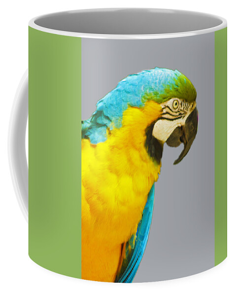 Macaw Coffee Mug featuring the photograph Blue and Gold Macaw by Bill Barber
