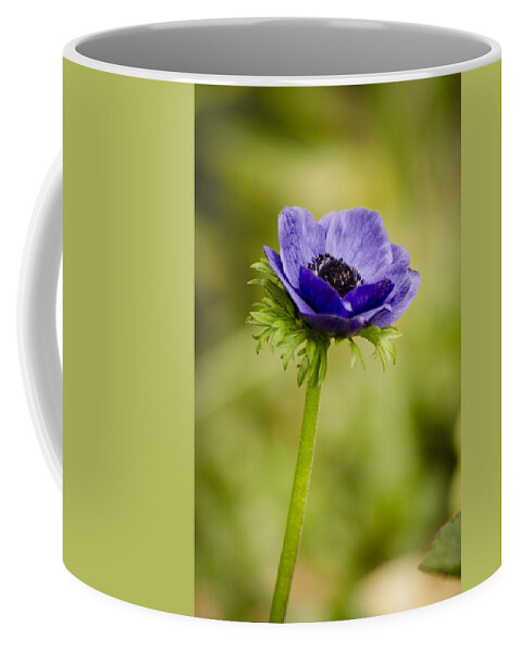Blue Coffee Mug featuring the photograph Blue Anemone by Spikey Mouse Photography