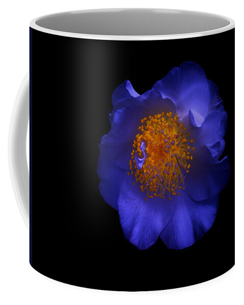 Blue Coffee Mug featuring the photograph Blue Beauty by Micki Findlay