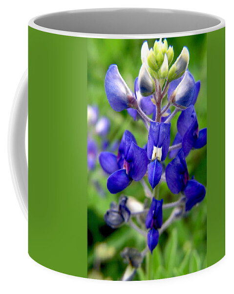 Wild Coffee Mug featuring the photograph Blue Bonnet by Adam Johnson