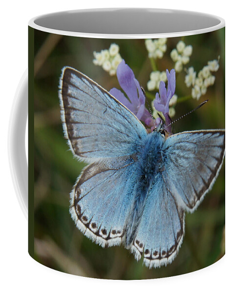 Butterflay Coffee Mug featuring the digital art Blue butterfly by Ron Harpham