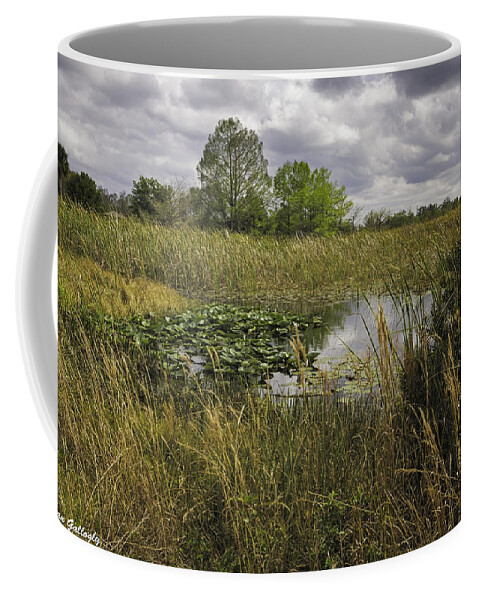 Blue Cypress Swamp Coffee Mug featuring the photograph Blue Cypress Wetlands by Fran Gallogly