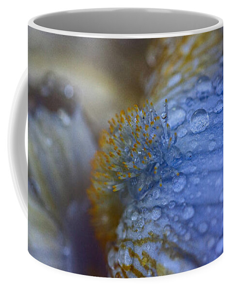 Bearded Iris Coffee Mug featuring the photograph Blue Danube by Jeff Folger