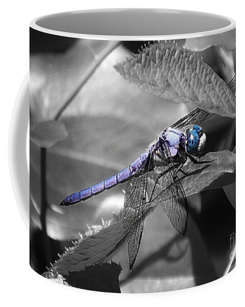 Blue Coffee Mug featuring the photograph Blue Eyed Dragonfly by Sharon Woerner