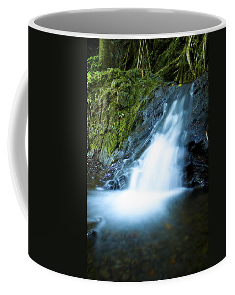 Waterfall Coffee Mug featuring the photograph Blue Falls off the Beaten Path by Bryant Coffey
