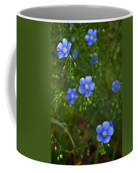 Blue Coffee Mug featuring the photograph Blue Flax by Mary Lee Dereske