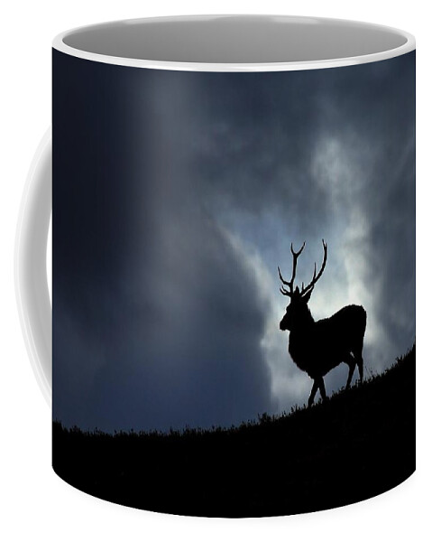 Stag Coffee Mug featuring the photograph Blue horizon by Gavin Macrae