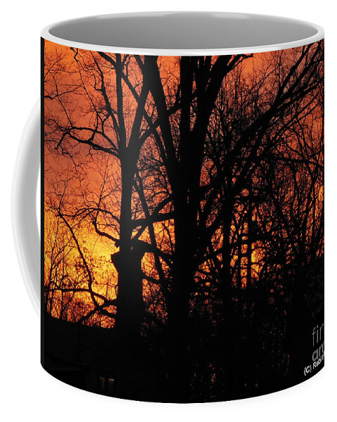 Sunrise Coffee Mug featuring the photograph Blue Horse Sunrise by Rabiah Seminole