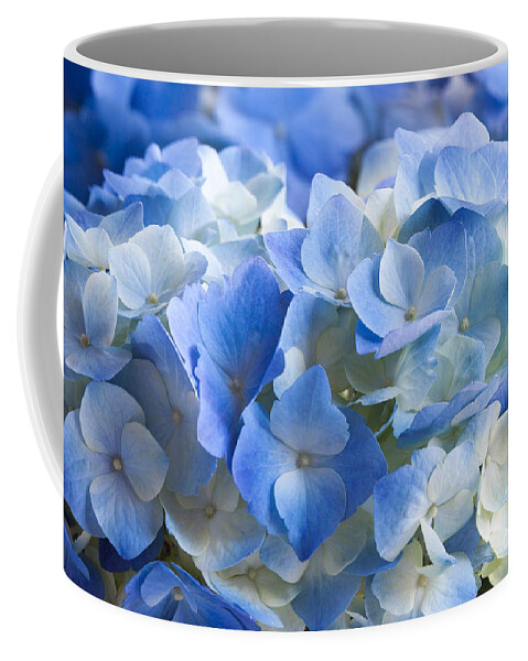 Blue Hydrangea Coffee Mug featuring the photograph Blue Hydrangea by Patty Colabuono