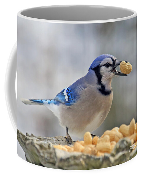 Blue Jay And Peanut Coffee Mug featuring the photograph Blue Jay and Peanut by PJQandFriends Photography