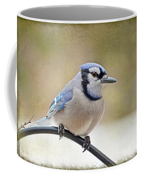 Bird Coffee Mug featuring the photograph Blue Jay view with texture by Debbie Portwood