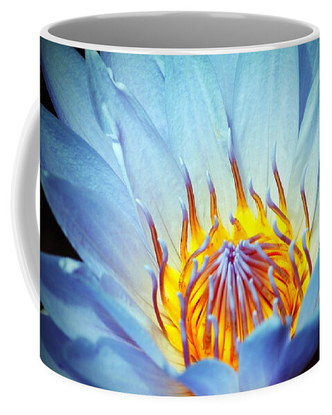 Flower Coffee Mug featuring the photograph Blue Lotus by Cynthia Guinn