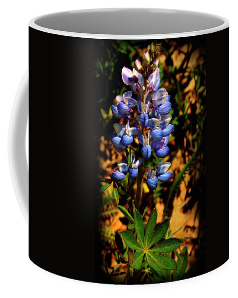 Blue Lupines Coffee Mug featuring the photograph Blue Lupines by Thomas Young