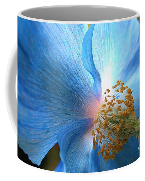 Carol Groenen Coffee Mug featuring the photograph Blue Poppy by Carol Groenen