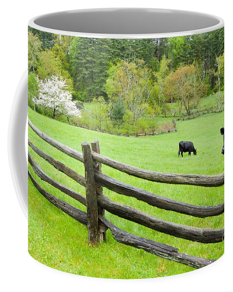 Cows Coffee Mug featuring the photograph Blue Ridge Parkway Cows by John Harmon