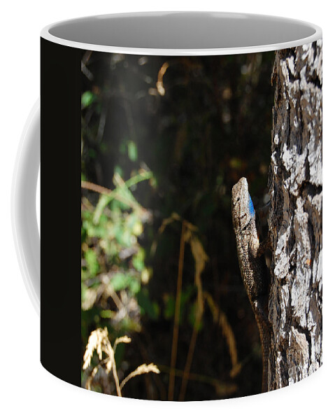 Lizard Coffee Mug featuring the photograph Blue Throated Lizard 1 by Debra Thompson