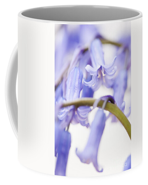 Abstract Coffee Mug featuring the photograph Bluebell Abstract IV by Anne Gilbert