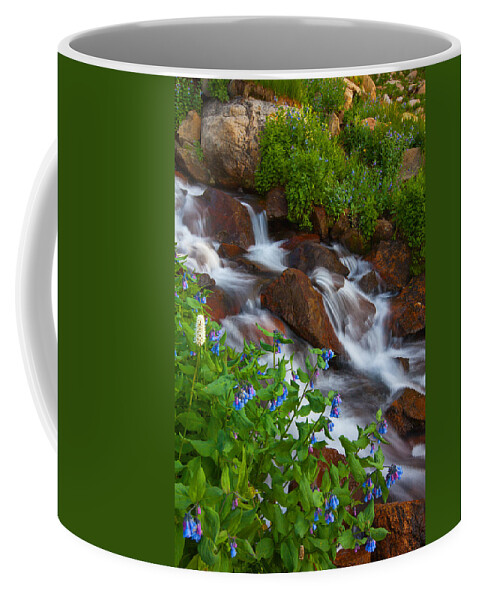 Stream Coffee Mug featuring the photograph Bluebell Creek by Darren White