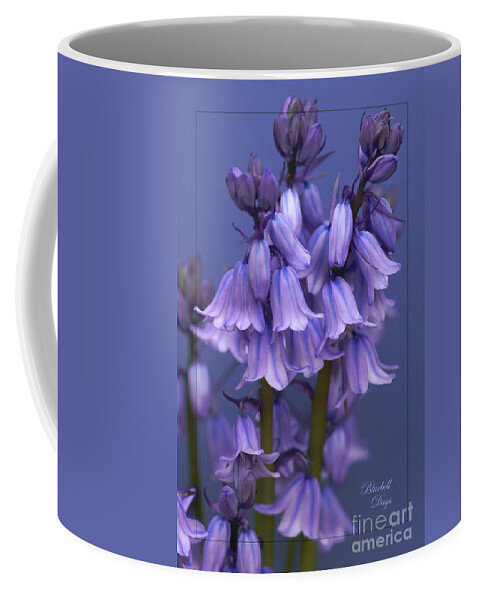 Bluebells Coffee Mug featuring the photograph Bluebell Days by David Birchall