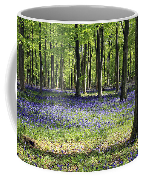 Bluebell Wood Uk Bluebells Forest Beech Tree Trees English Landscape Countryside Woodland Spring Summer Surrey Coffee Mug featuring the photograph Bluebell Wood UK by Julia Gavin