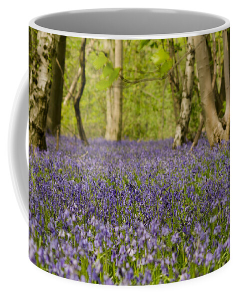 Forest Coffee Mug featuring the photograph Bluebell Woods by Spikey Mouse Photography