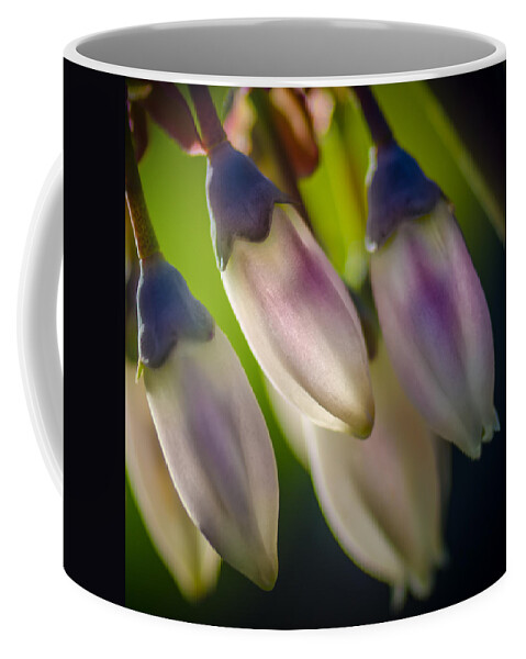 Blueberry Coffee Mug featuring the photograph Blueberry Blossom by James Barber