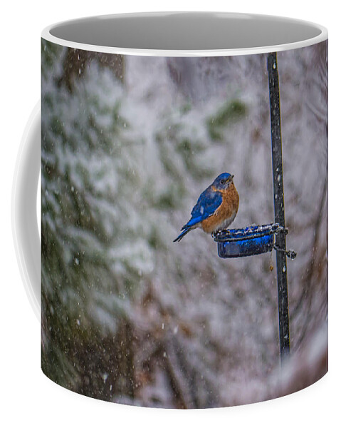 Bird Coffee Mug featuring the photograph Bluebird in Snow by David Kay