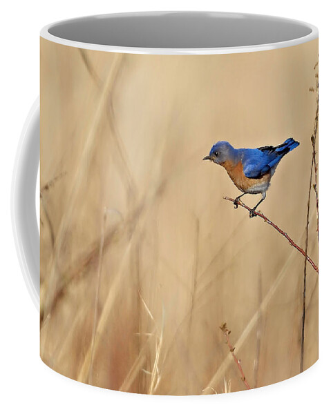 Bluebird Coffee Mug featuring the photograph Bluebird Meadow by William Jobes