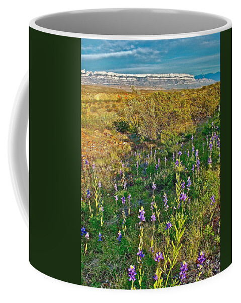 Bluebonnets And Creosote Bushes In Big Bend National Park Coffee Mug featuring the photograph Bluebonnets and Creosote Bushes in Big Bend National Park-Texas by Ruth Hager