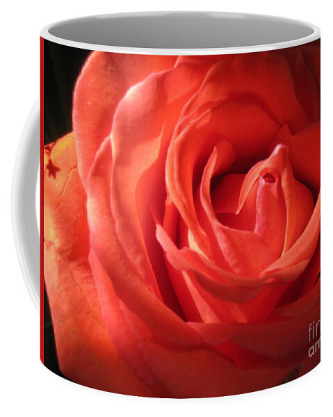 Floral Coffee Mug featuring the photograph Blushing Orange Rose 1 #2 by Tara Shalton