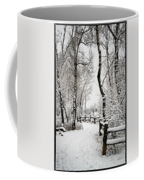 Winter Trails Coffee Mug featuring the photograph Bobolink Trail by Juli Ellen