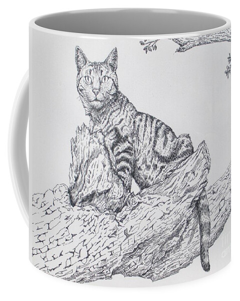 Cat In Tree Coffee Mug featuring the drawing Boerne by Sue Bonnar