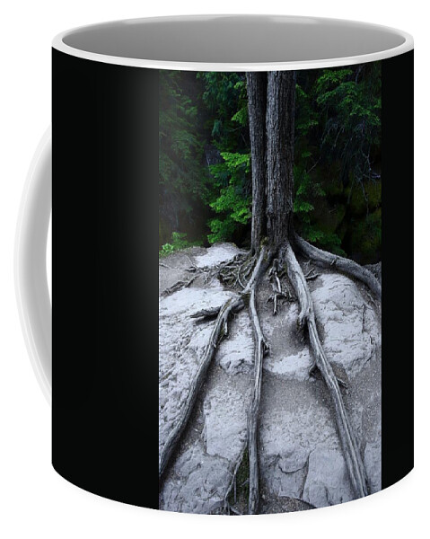 Avalanche Creek Coffee Mug featuring the photograph Bones by David Andersen
