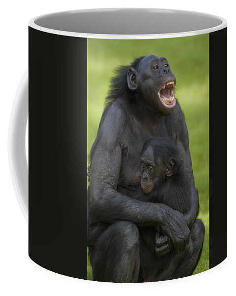 Feb0514 Coffee Mug featuring the photograph Bonobo Mother And Baby by San Diego Zoo