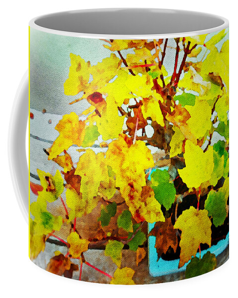 Bonsai Tree Coffee Mug featuring the painting Bonsai Tree with Yellow Leaves by Joan Reese
