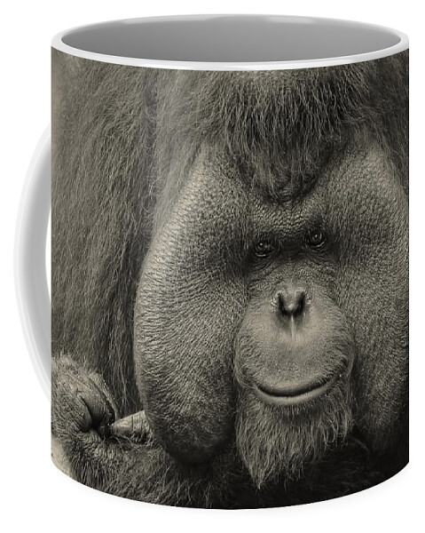 Orangutan Coffee Mug featuring the photograph Bornean Orangutan II by Lourry Legarde