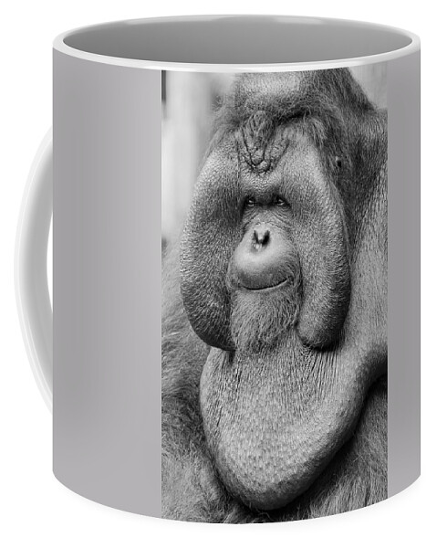 Orangutan Coffee Mug featuring the photograph Bornean Orangutan III by Lourry Legarde