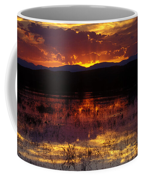 Bosque Coffee Mug featuring the photograph Bosque Sunset - orange by Steven Ralser
